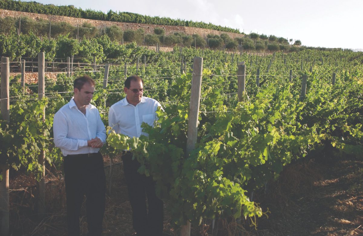 Tony Cassar and Jeremy Cassar at the Cheval Franc Estate