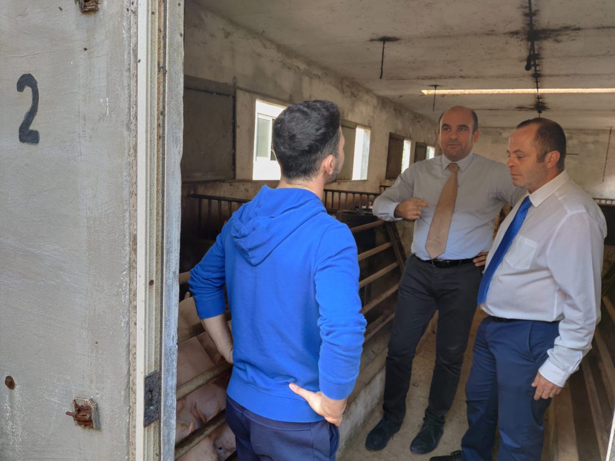PN Officials Peter Agius and Charles Azzopardi at an Mgarr pig farm